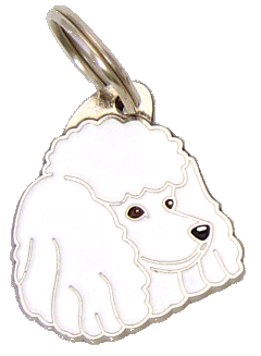 Poodle branco <br> (placa de identificação para cães, Gravado incluído)